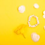 Reddybook Review: How This Platform Is Transforming Digital Publishing and Connecting with 11xplay